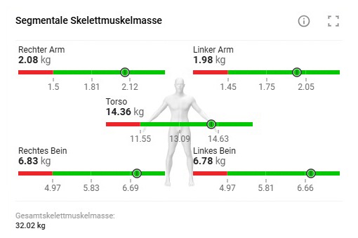 MR Physiotherapie bia körperanalyse 2